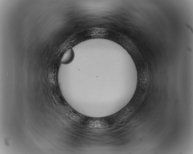 X0000100850755200807111216