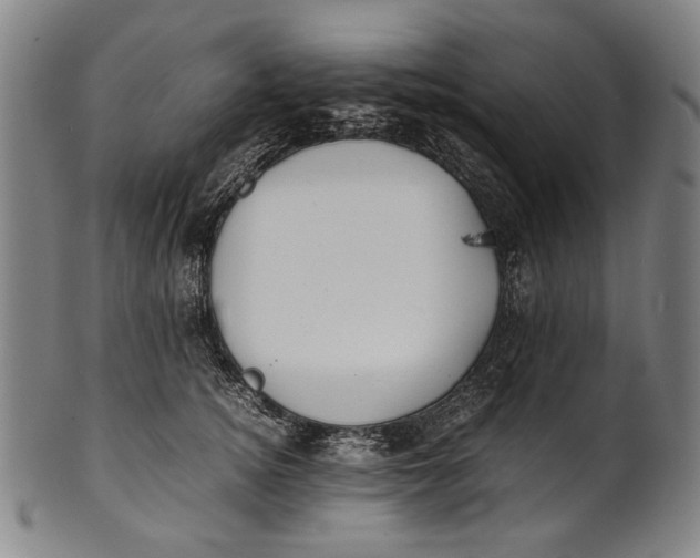 X0000100850756200807111216