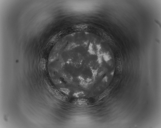 X0000100850758200807111216