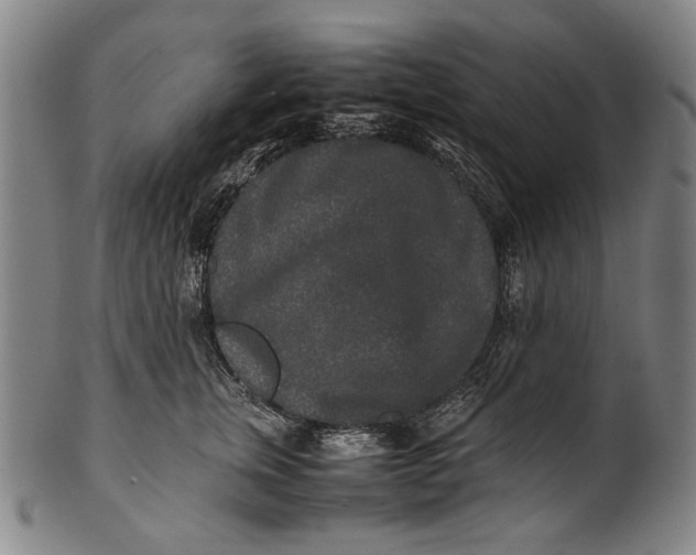 X0000100850759200807111216