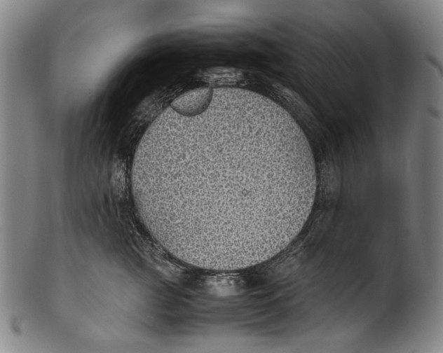 X0000100850761200807111216