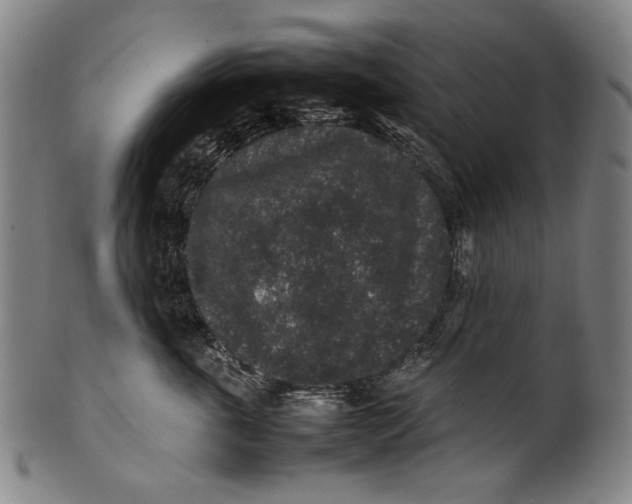 X0000100850763200807111216