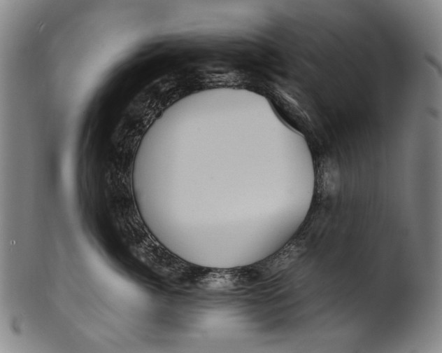 X0000100850764200807111216