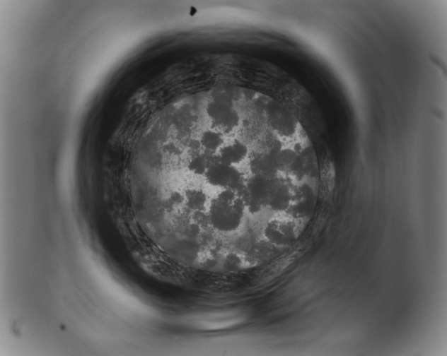 X0000100850765200807111216