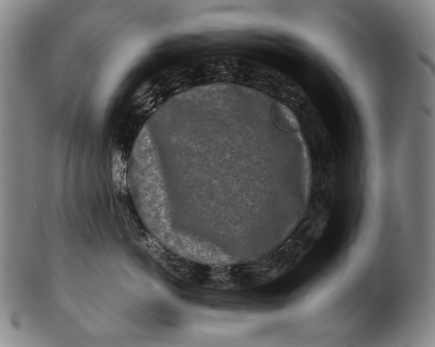 X0000100850766200807111216