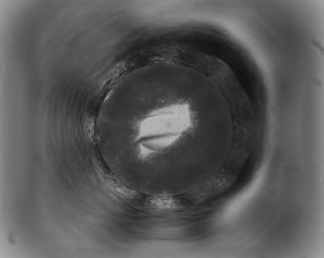 X0000100850767200807111216