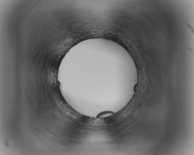 X0000100850768200807111216