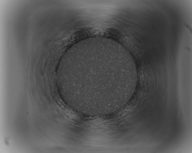 X0000100850769200807111215