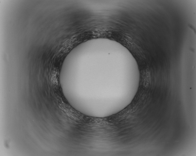 X0000100850770200807111215