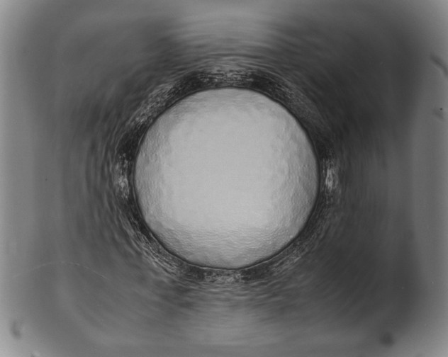 X0000100850771200807111215