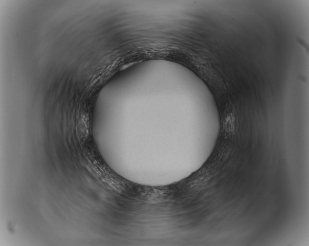 X0000100850772200807111215