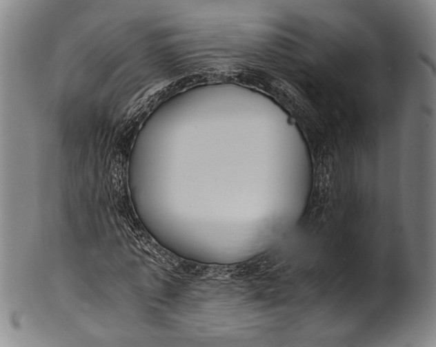 X0000100850773200807111215