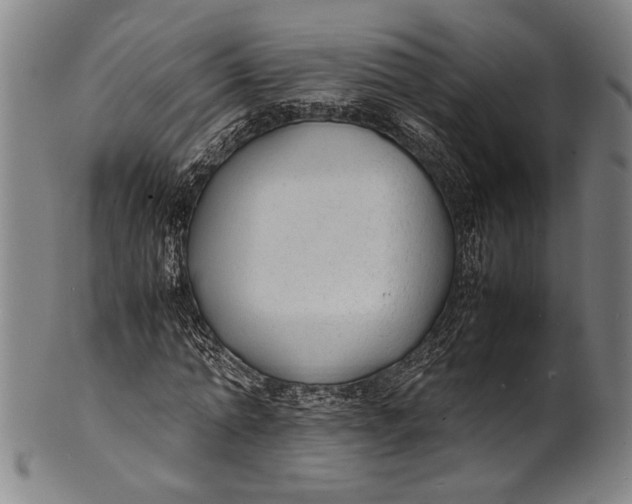 X0000100850774200807111215