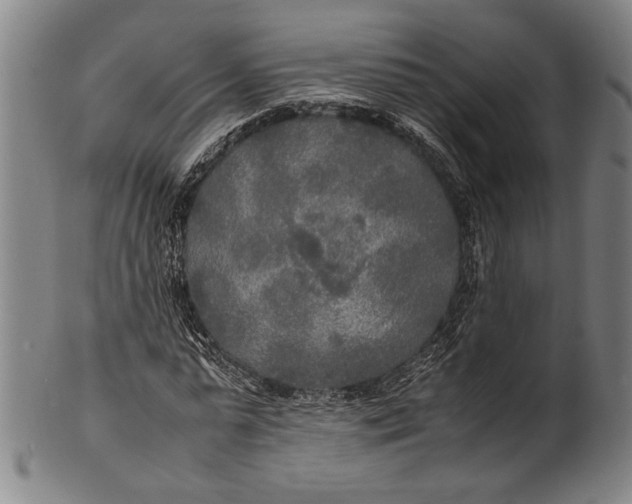 X0000100850775200807111215