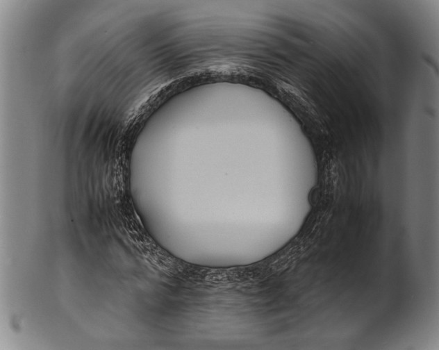 X0000100850776200807111215