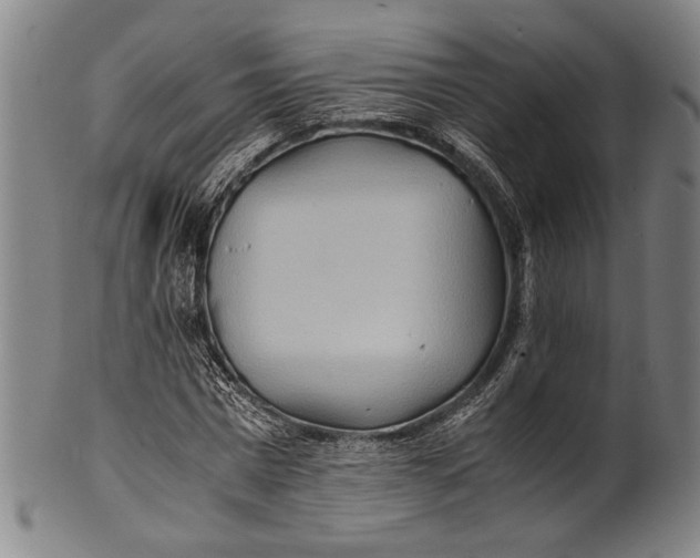 X0000100850777200807111215