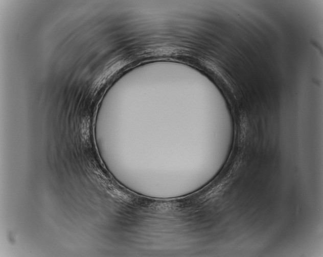 X0000100850778200807111215