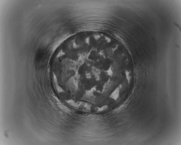 X0000100850779200807111215