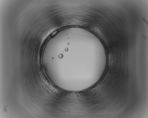 X0000100850780200807111215