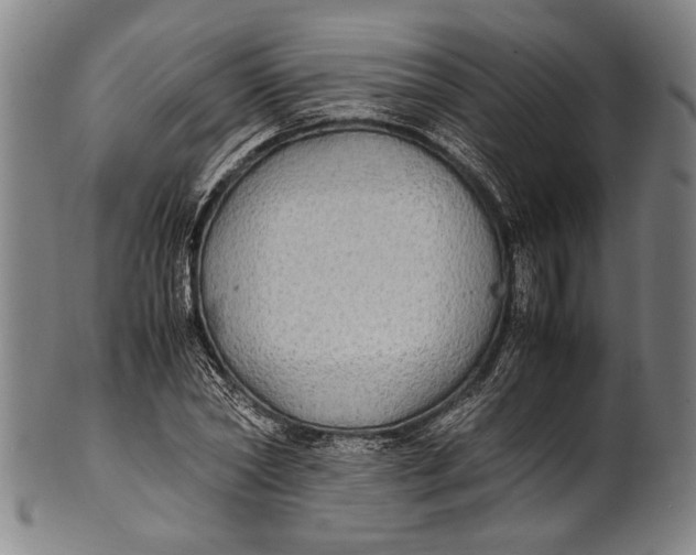 X0000100850782200807111215