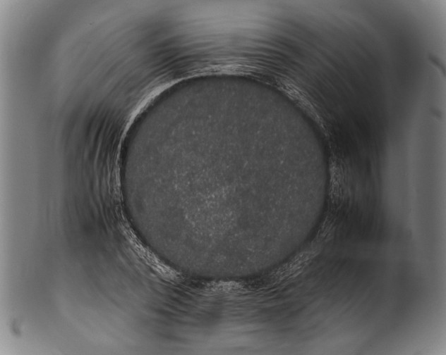 X0000100850784200807111215