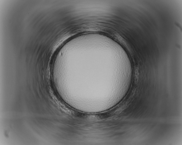 X0000100850787200807111215