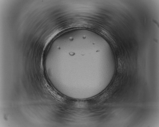 X0000100850788200807111215