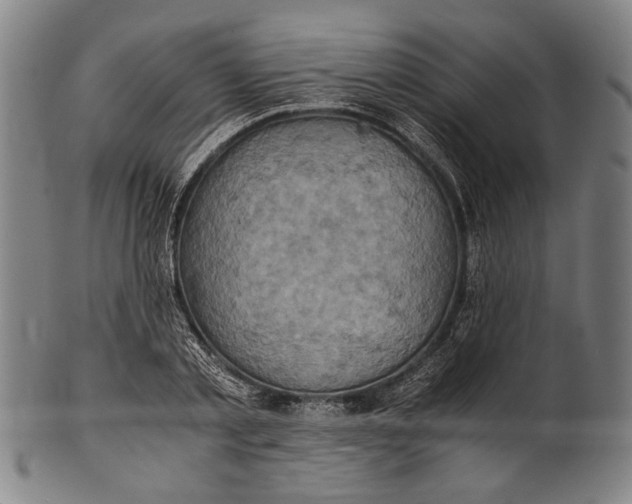 X0000100850789200807111215