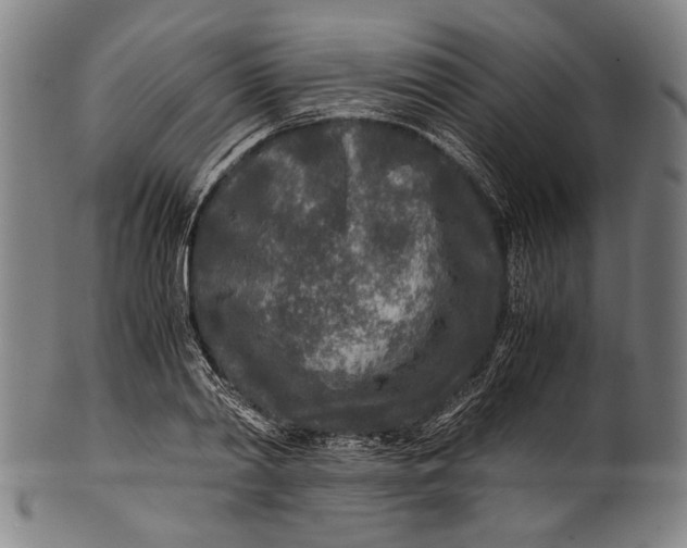 X0000100850790200807111215