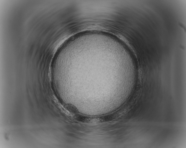 X0000100850791200807111215