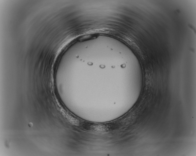 X0000100850792200807111215