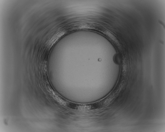 X0000100850793200807111215