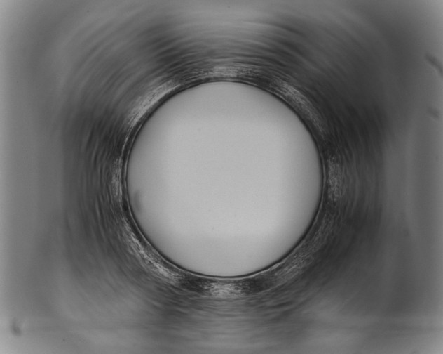 X0000100850794200807111215