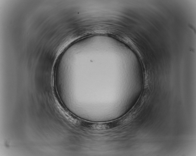 X0000100850795200807111215