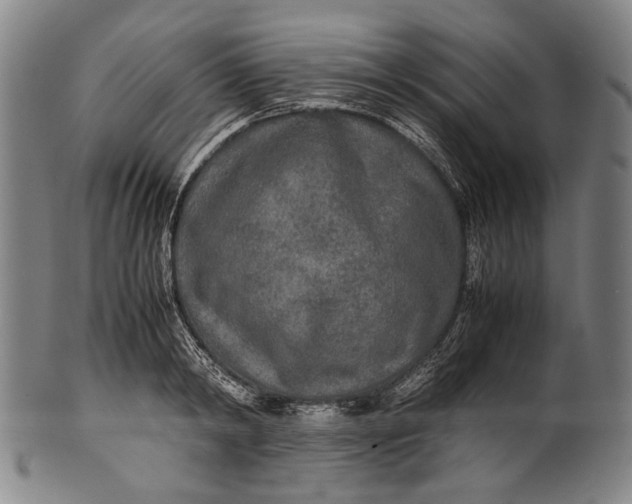 X0000100850798200807111215