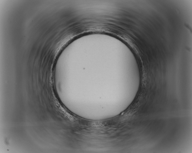 X0000100850799200807111215