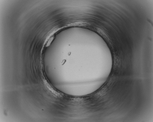 X0000100850800200807111215