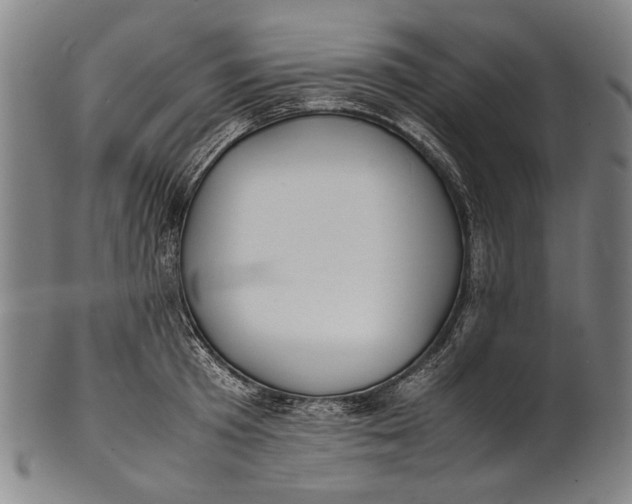 X0000100850801200807111215