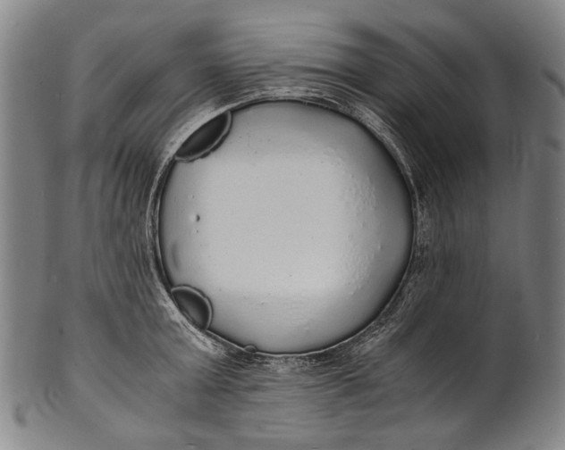 X0000100850803200807111215