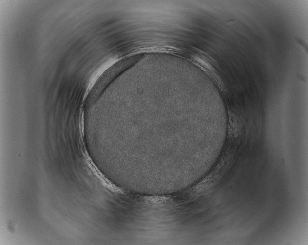 X0000100850804200807111215