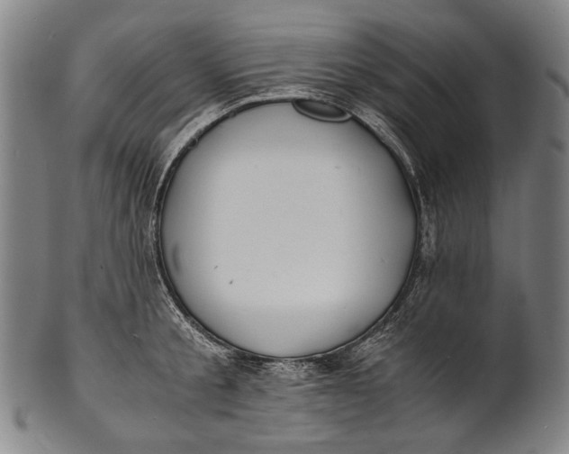 X0000100850805200807111214