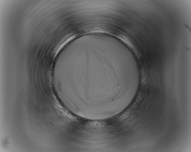 X0000100850806200807111214