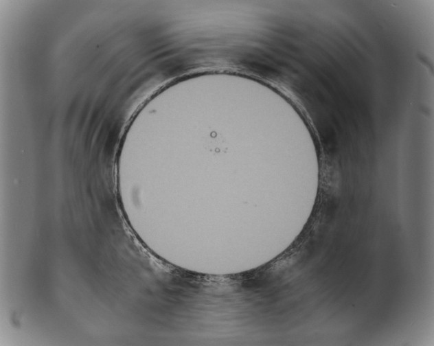 X0000100850807200807111214