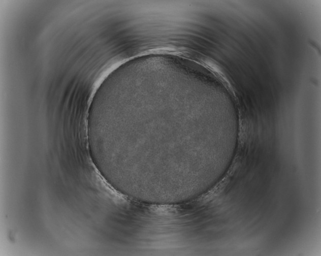 X0000100850808200807111214