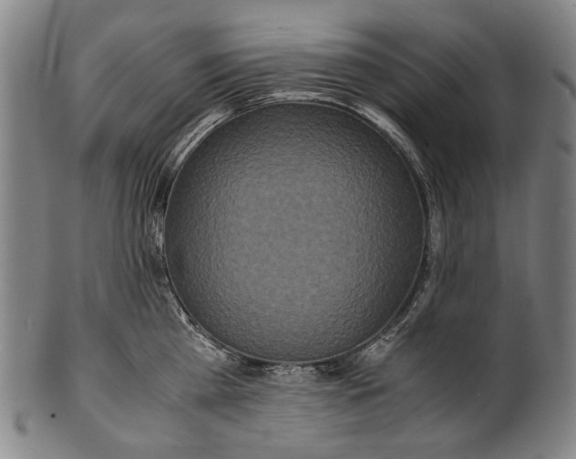 X0000100850809200807111214