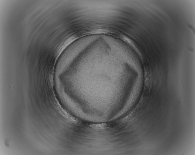 X0000100850810200807111214