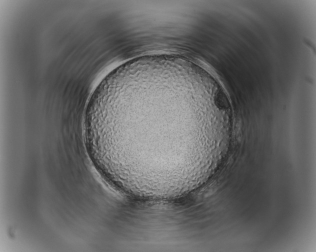 X0000100850811200807111214