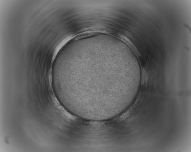 X0000100850812200807111214