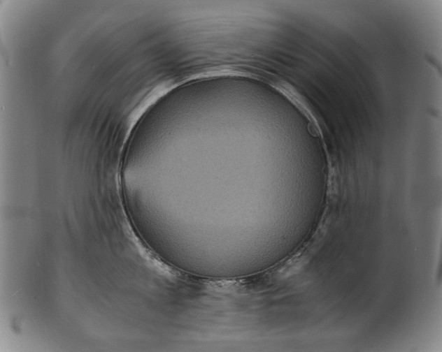 X0000100850813200807111214