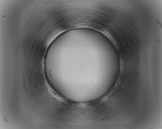 X0000100850814200807111214